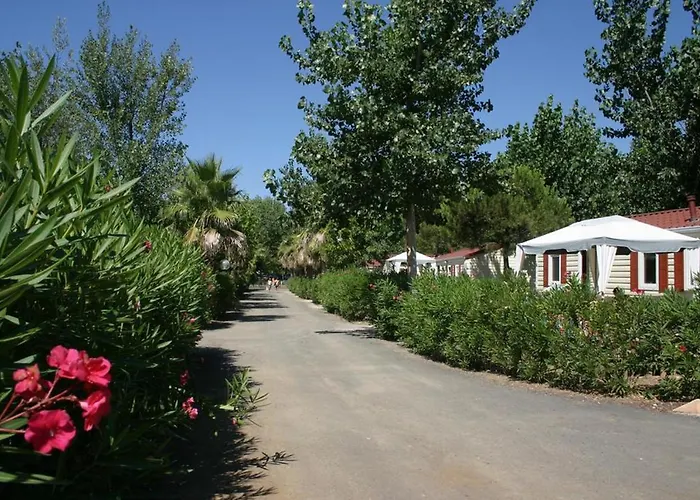 Vias-plage Les Salisses Quality Holidays אתר קמפינג ויאס